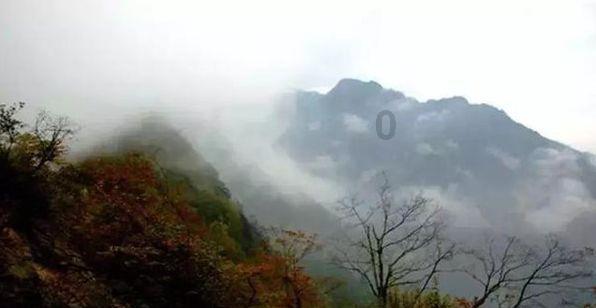 紧急停车