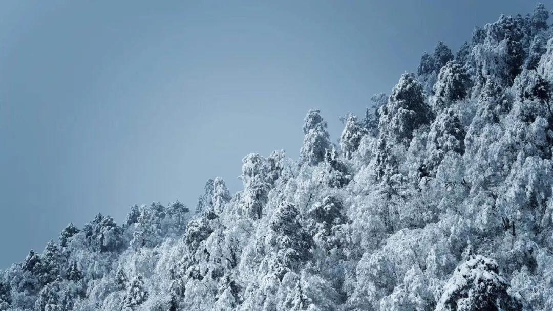 文明：太空