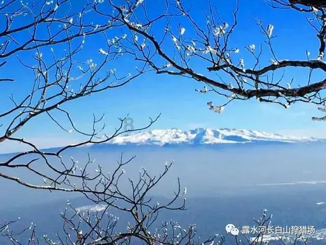 【新春走基层】京津冀开通“车厘子快线”