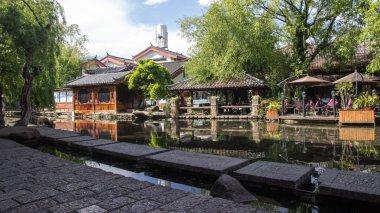 新探针可高清记录深脑活动
